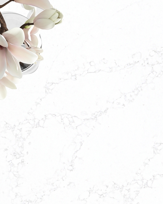 Winston luxury quartz slab